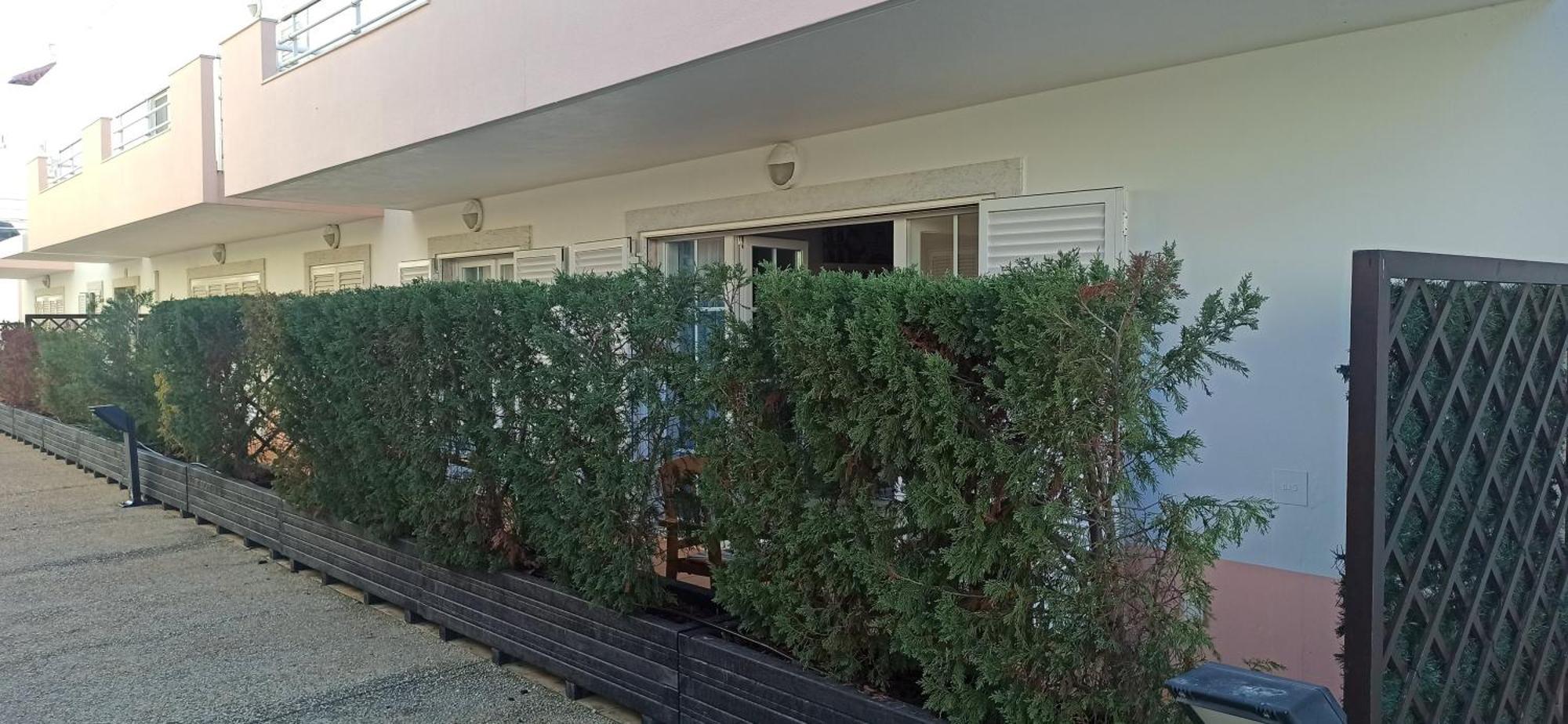 Formosa Lejlighed Cabanas De Tavira Eksteriør billede